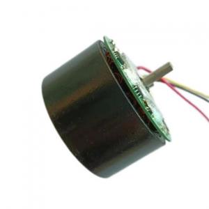 5530BL19V2520R 55mm 24V BLDC Motor For Meat Cutting 5530BL19V2520R 55mm 24V BLDC Motor For Meat Cutting