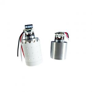 2930BL 29mm 12v High Speed BLDC Motor For Hair Dryer